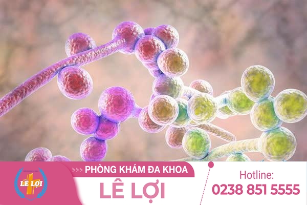 Nhiễm trùng âm đạo điều trị ngay khi có triệu chứng ban đầu