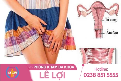 Bị ngứa vùng kín và cách điều trị